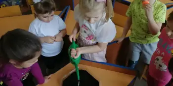 Чудеса на подоконнике