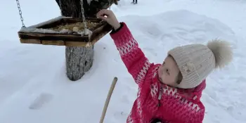 Акция "Покормим птиц"