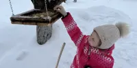 Акция "Покормим птиц"