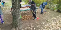 Дружно, весело и с пользой.